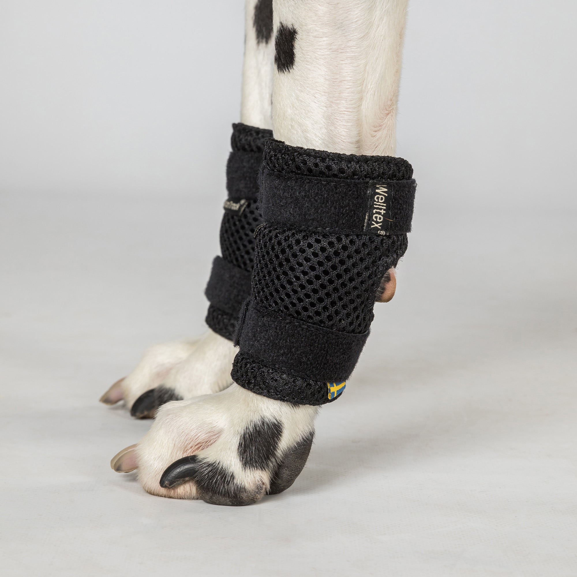 Dog Leg Brace "Milo" - Pair