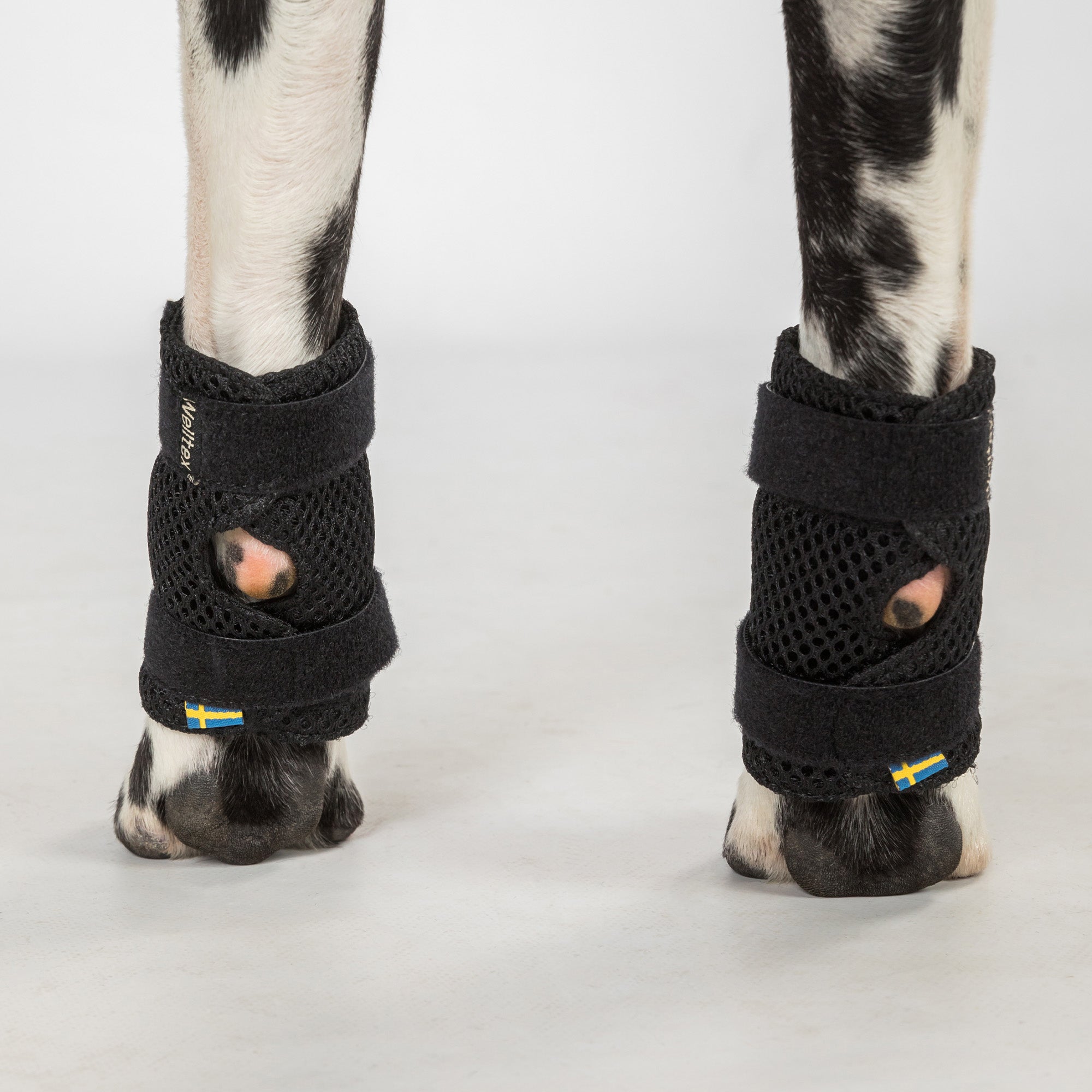 Dog Leg Brace "Milo" - Pair