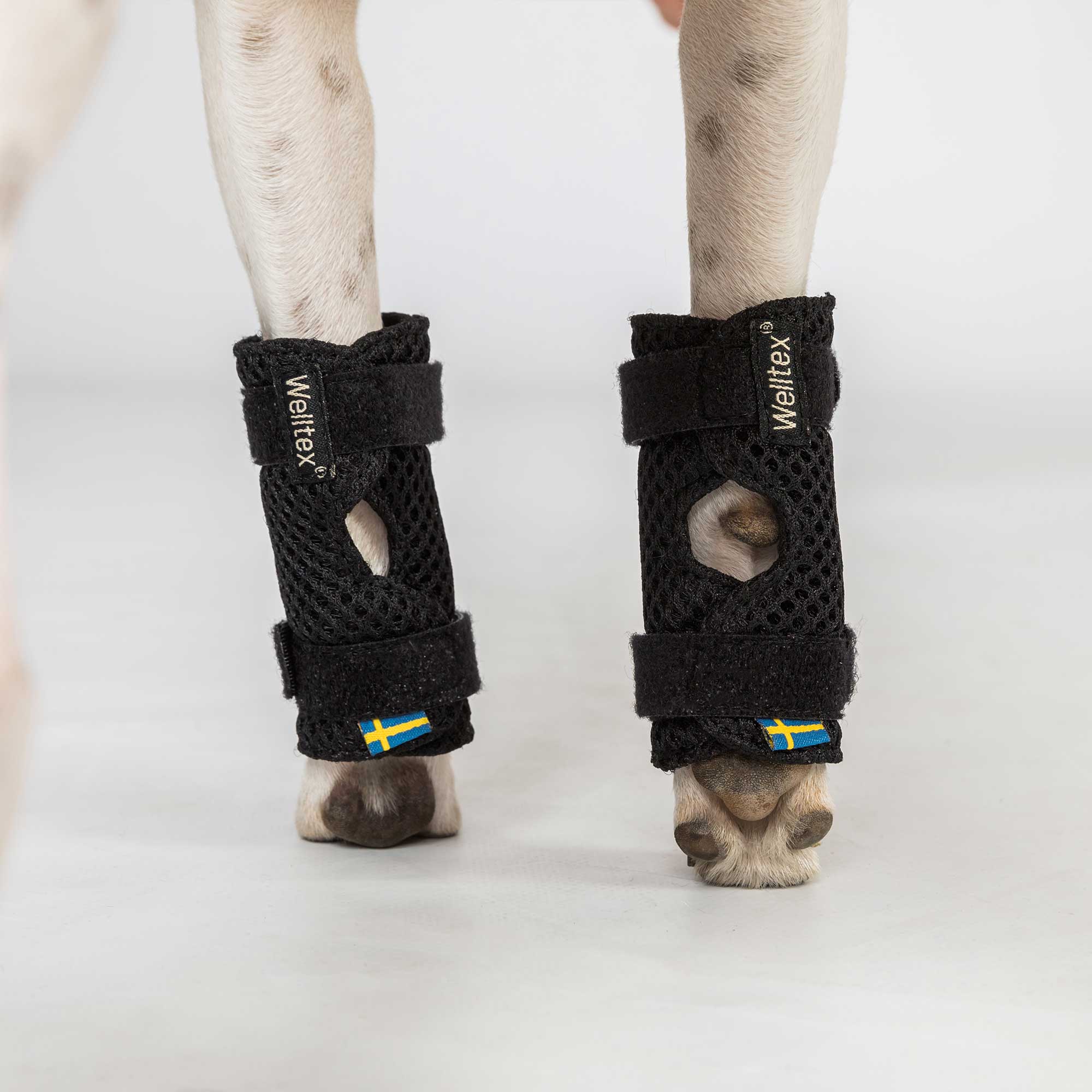 Dog Leg Brace "Milo" - Pair