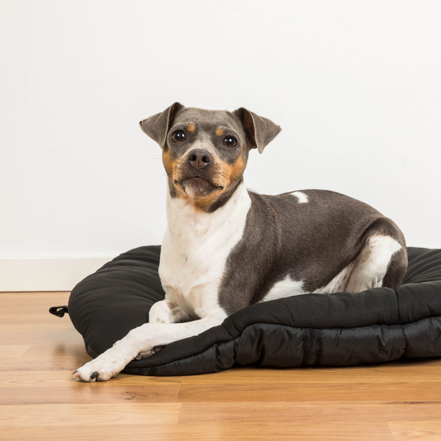 Dog Matress Oval