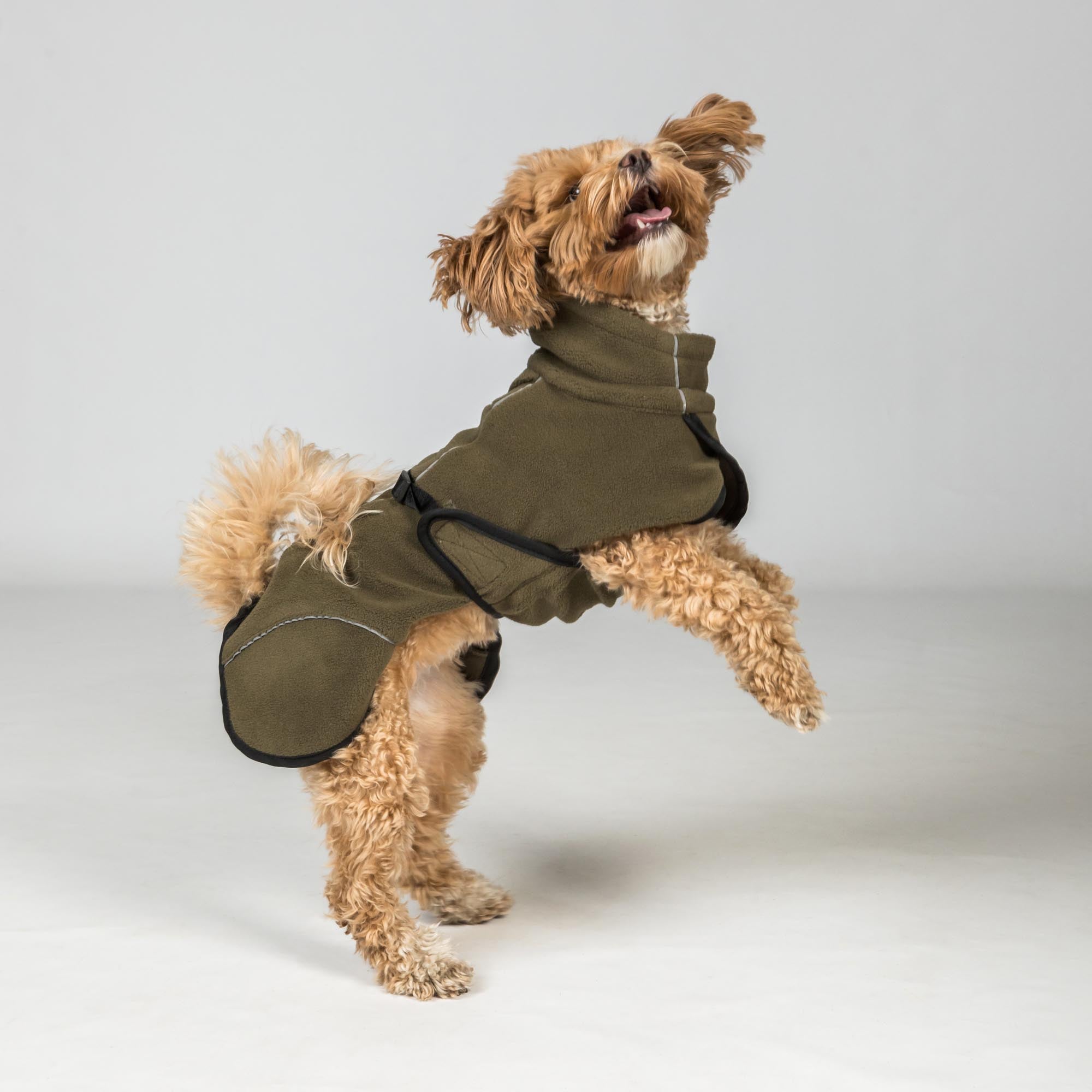 BAY Fleece Dog Coat, High set tail