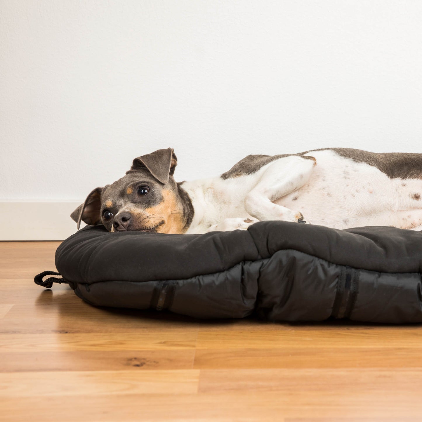 Dog Matress Oval