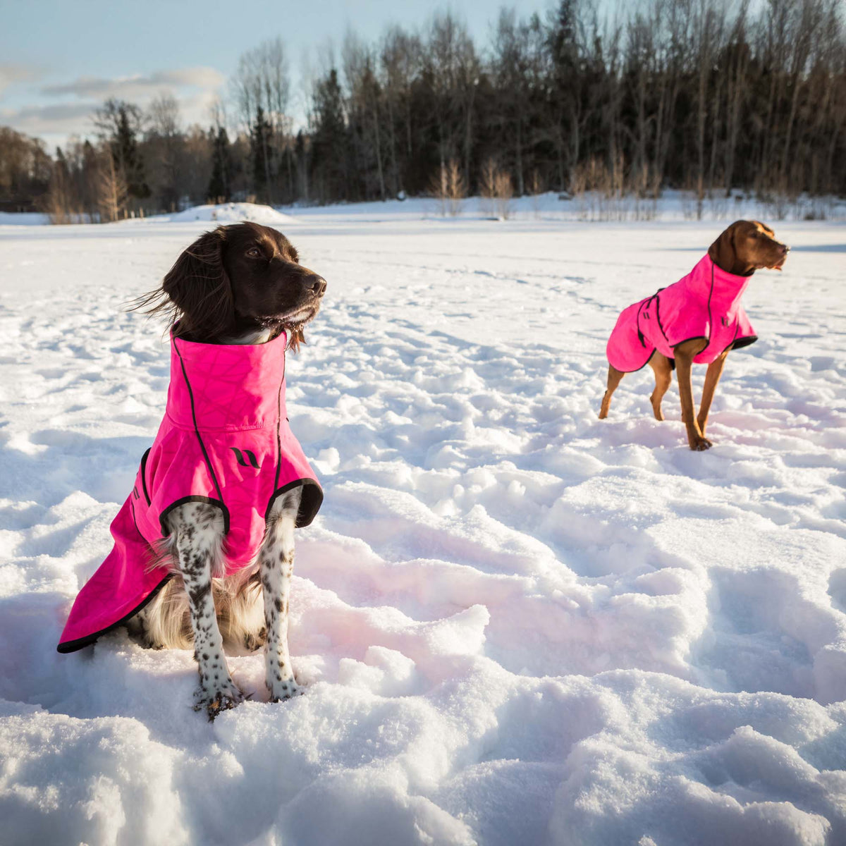 BARK Softshell Dog Coat, High set tail