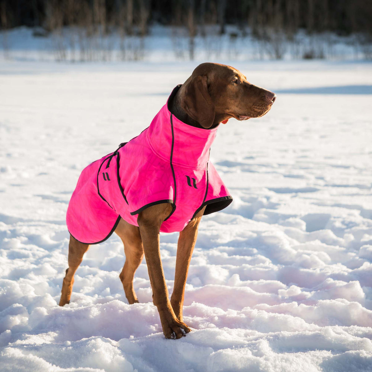 BARK Softshell Dog Coat, High set tail