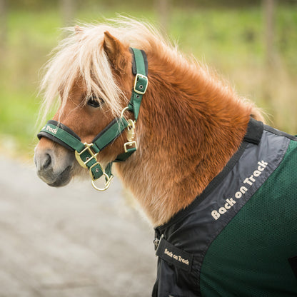 Pony wearing Royal Pony Mesh Rug Deluxe | single:75 cm