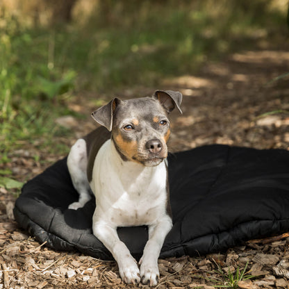 Dog Matress Oval