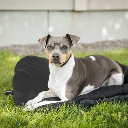 Dog Matress Oval