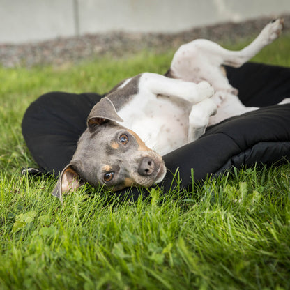 Dog Matress Oval