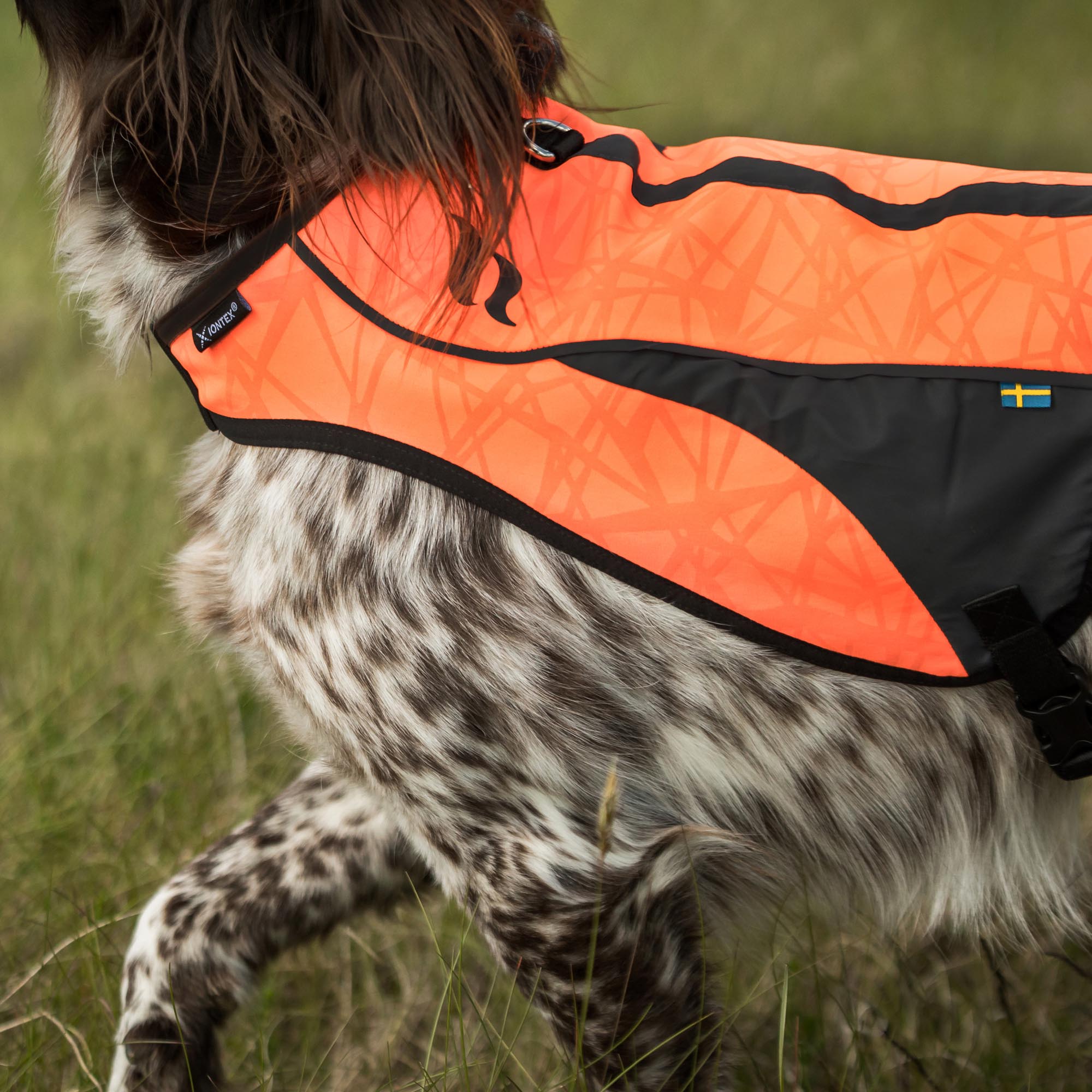 POINT Visibility Dog Vest