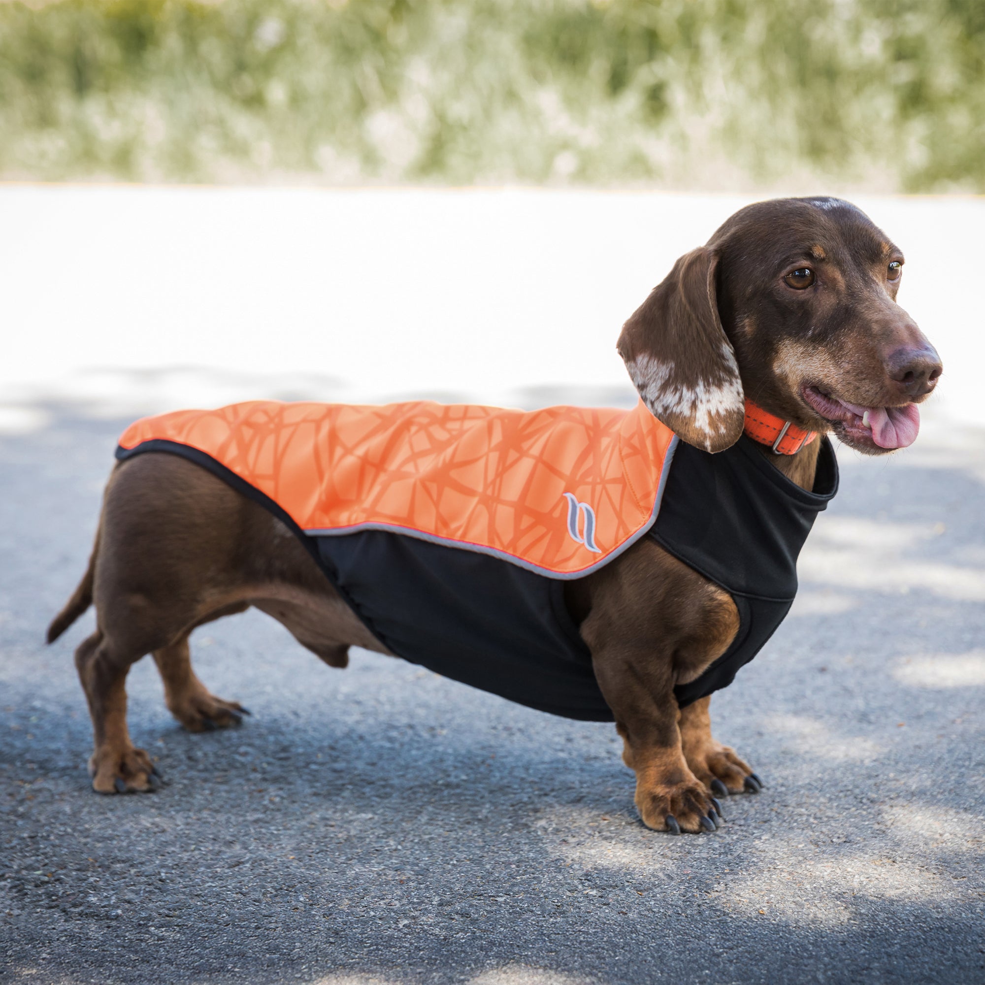 "Eddie" Petite High visibility Jumper, no hanger