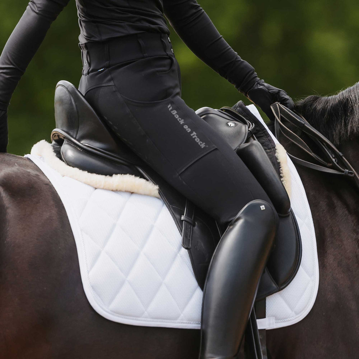 OUTTRAKK W's FS Breeches