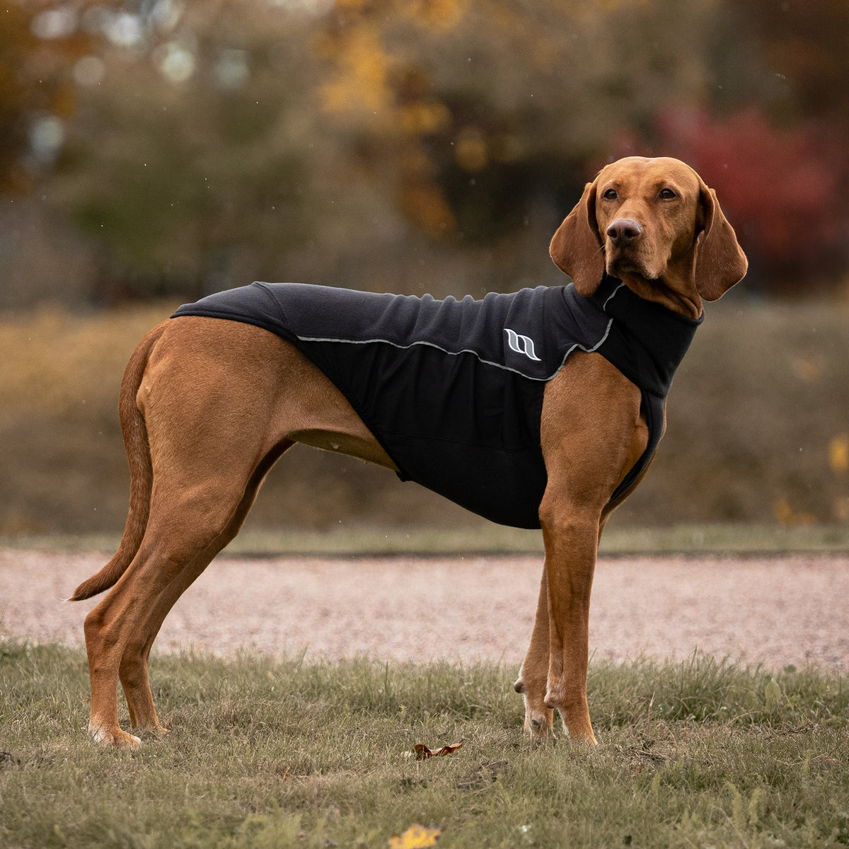 BARK- Base Layer 