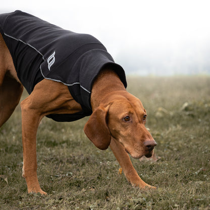 BARK- Base Layer 