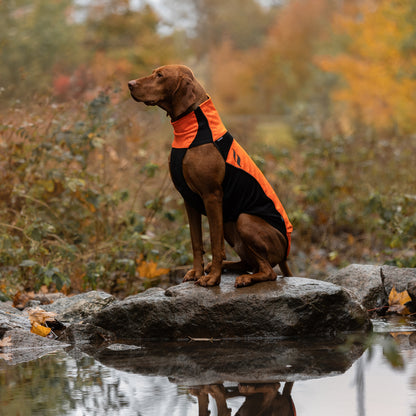 BARK Reflektierender Hundepullover