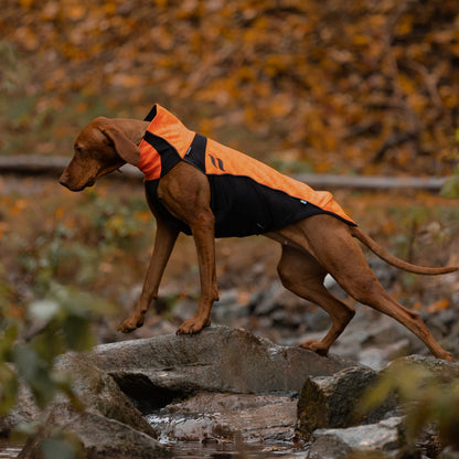 BARK Reflektierender Hundepullover