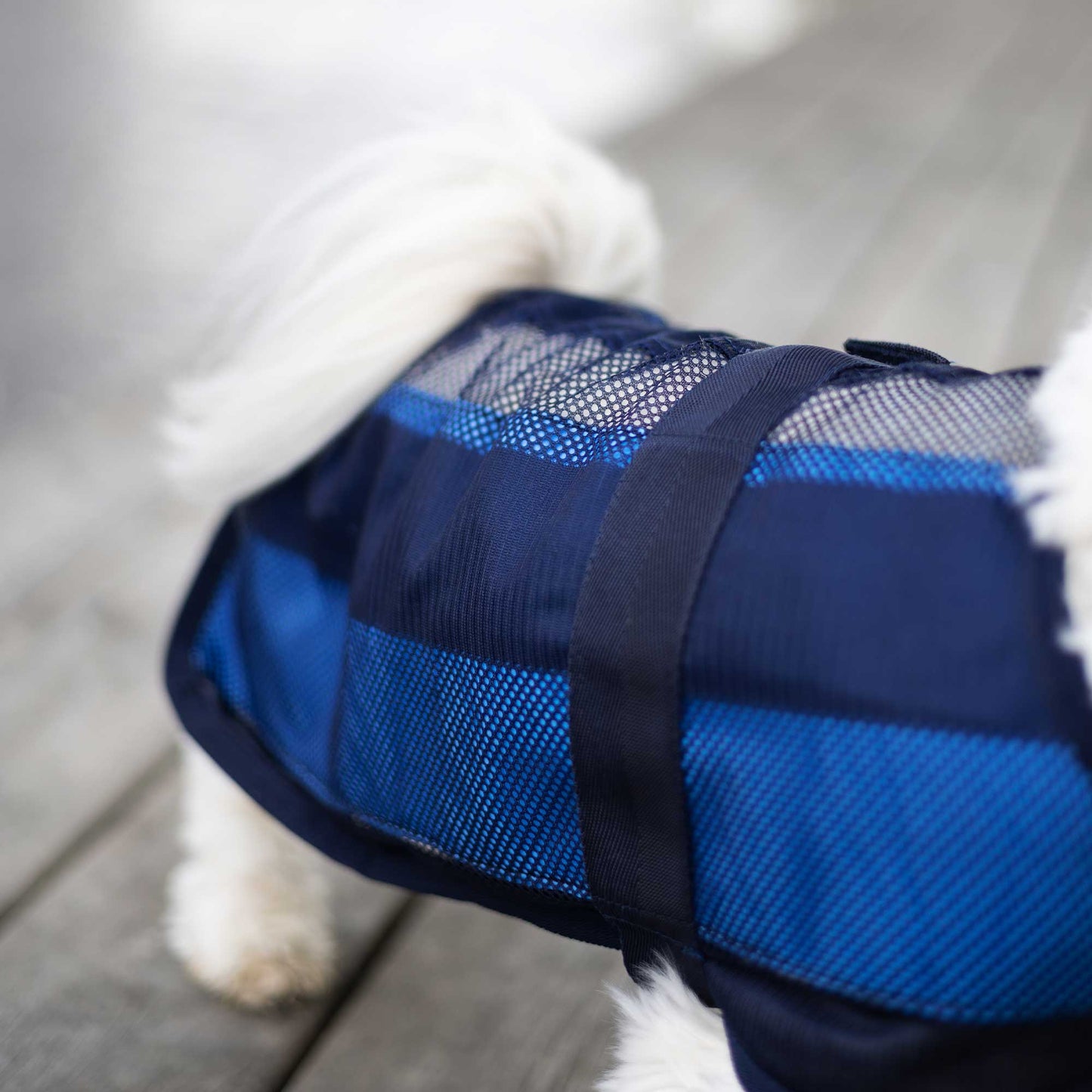 Cool on Track® Cooling Dog Coat 2.0