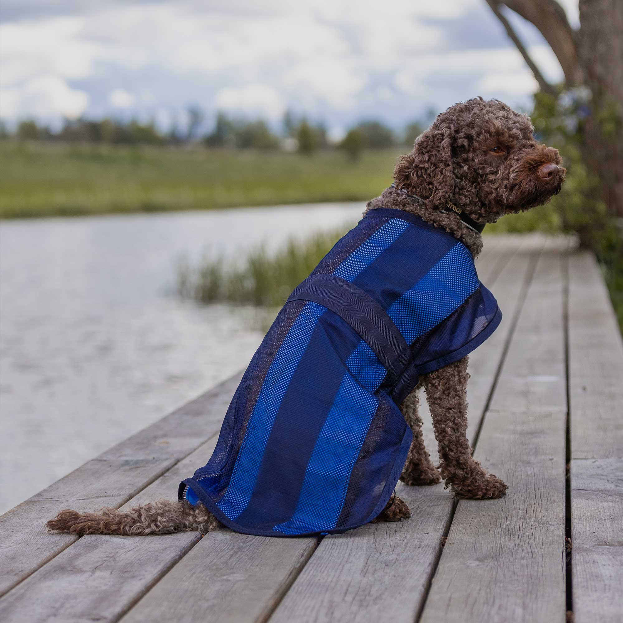 Cool on Track Dog Coat 2.0