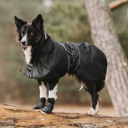 Dog Rain Coat without Filling