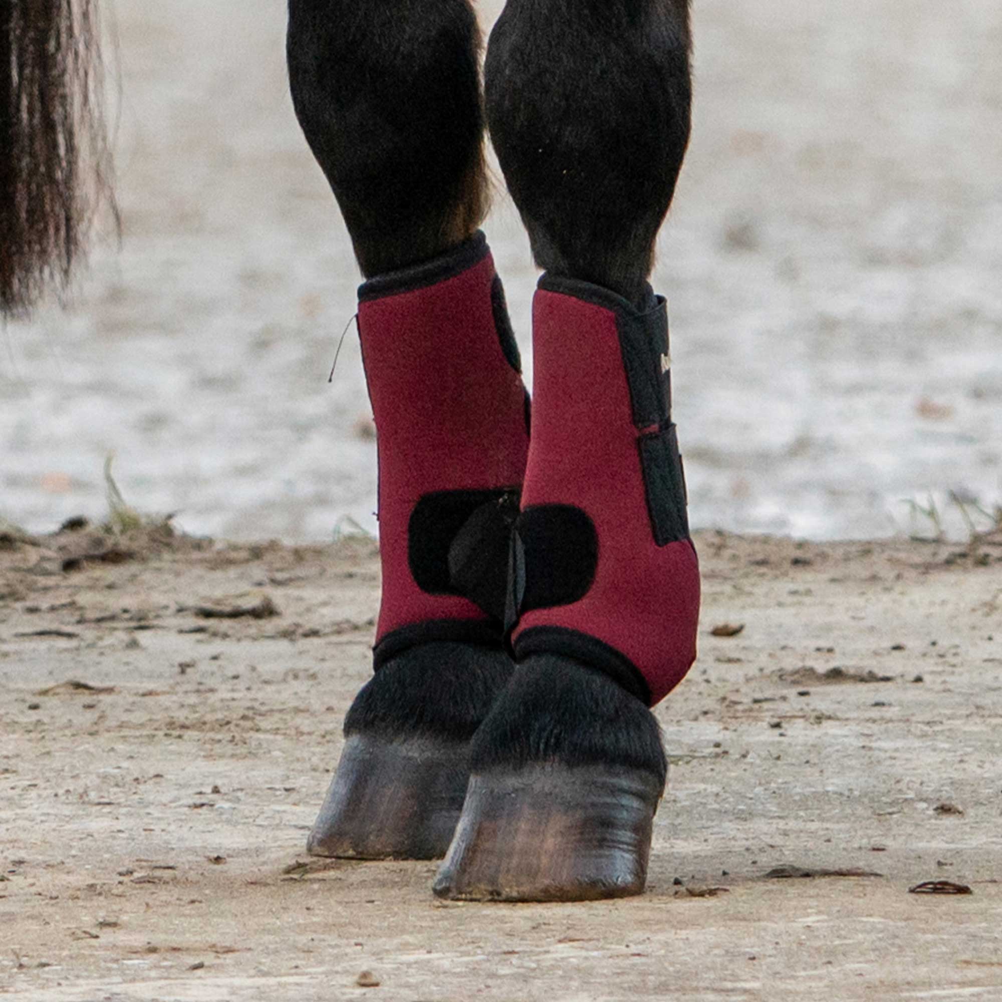 "Opal" Exercise Boots, Front Legs
