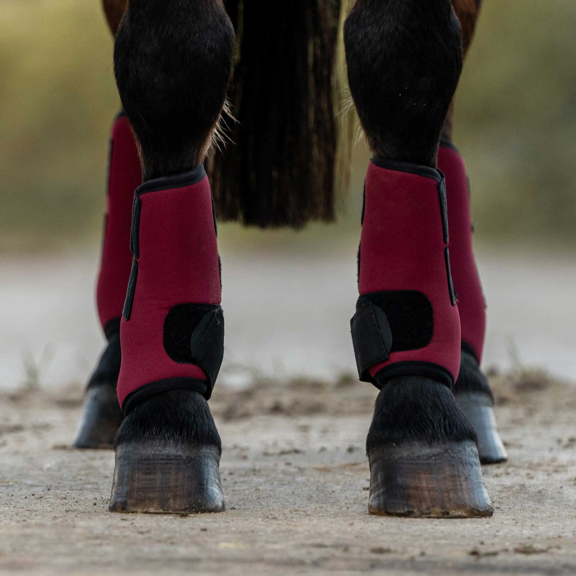 "Opal" Exercise Boots, Hind Legs