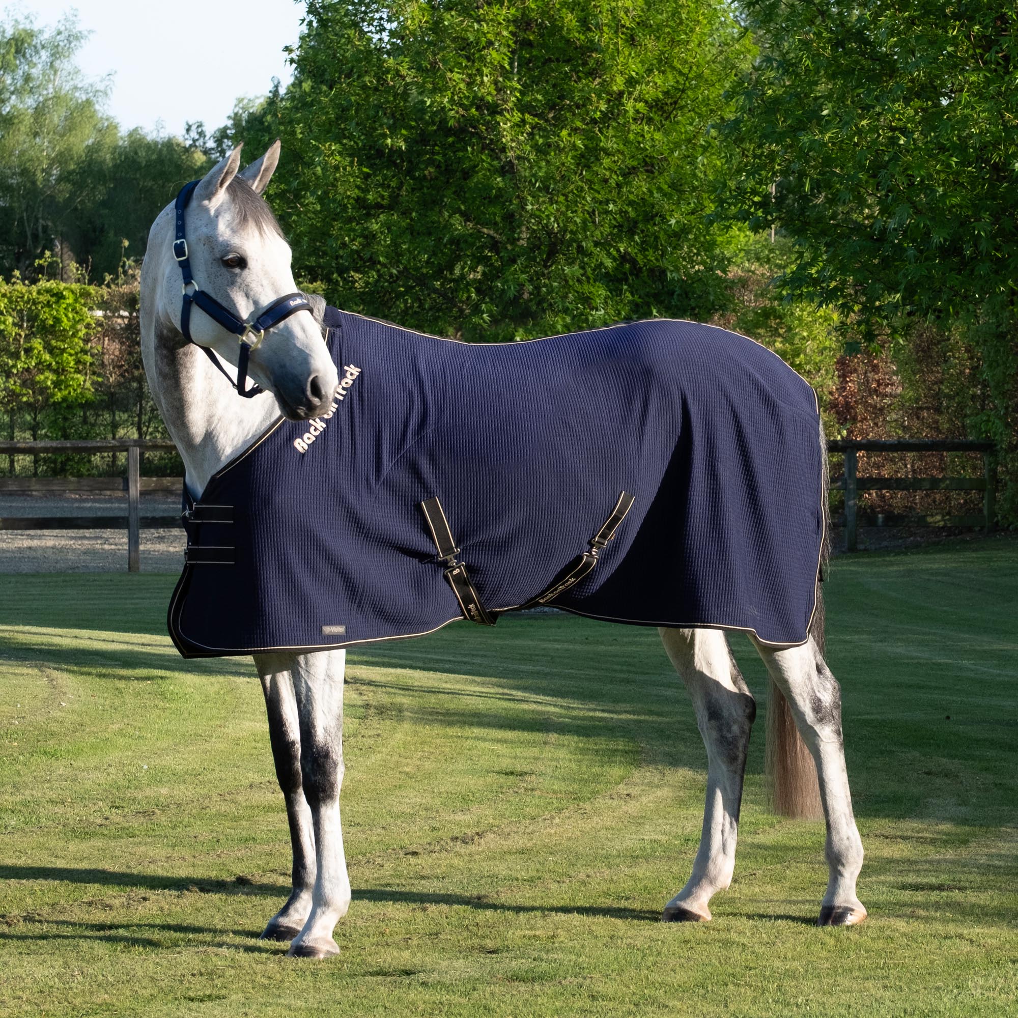 Quick Cooler Rug