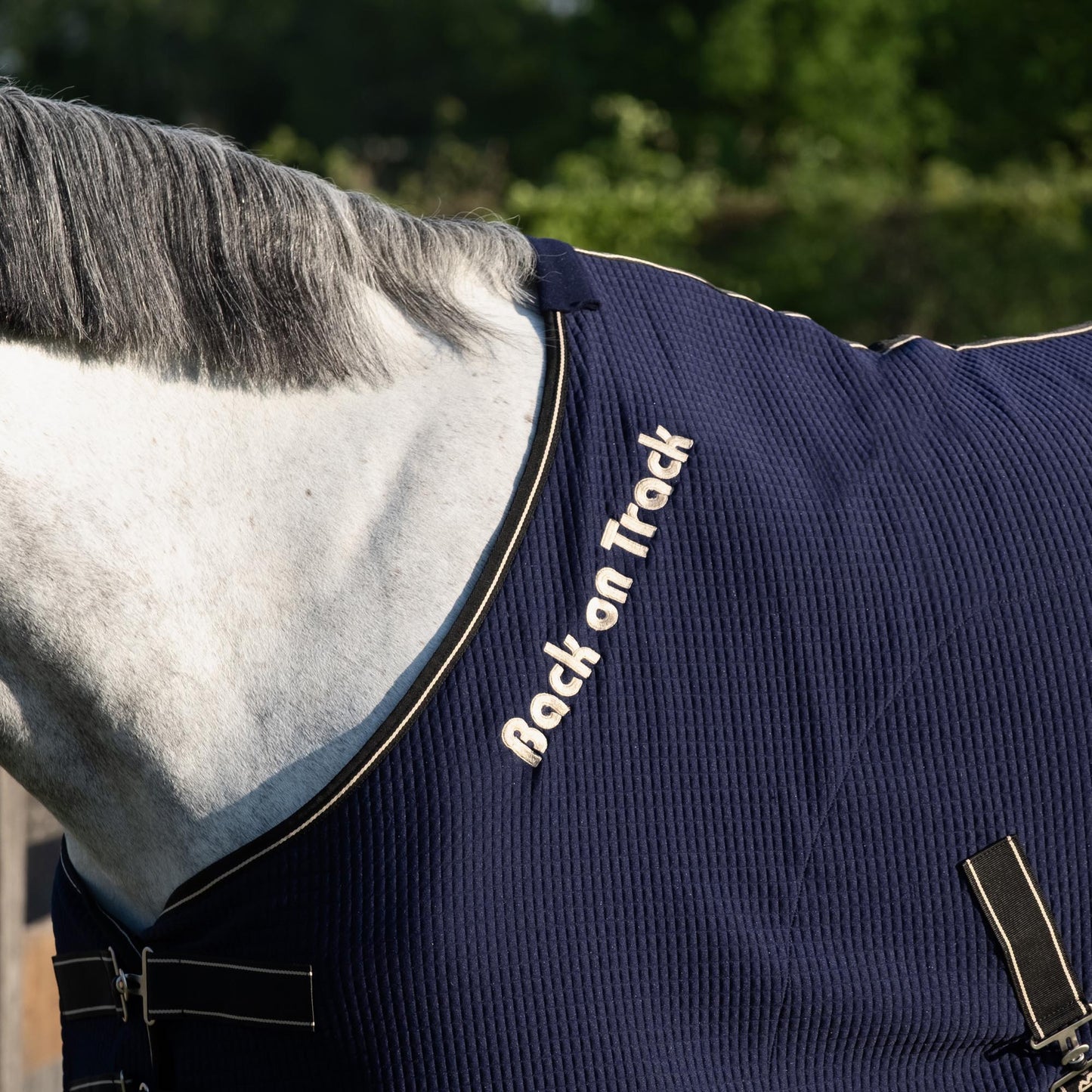 Quick Cooler rug