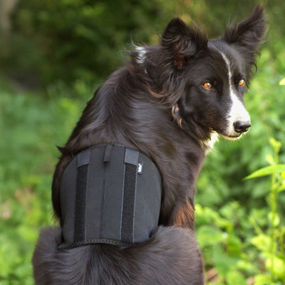 Honden Rugbeschermer