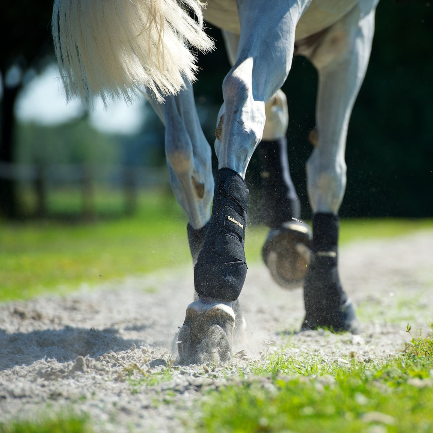 Arbetsdamask bak, par - Back on Track Sverige (5300122386587)