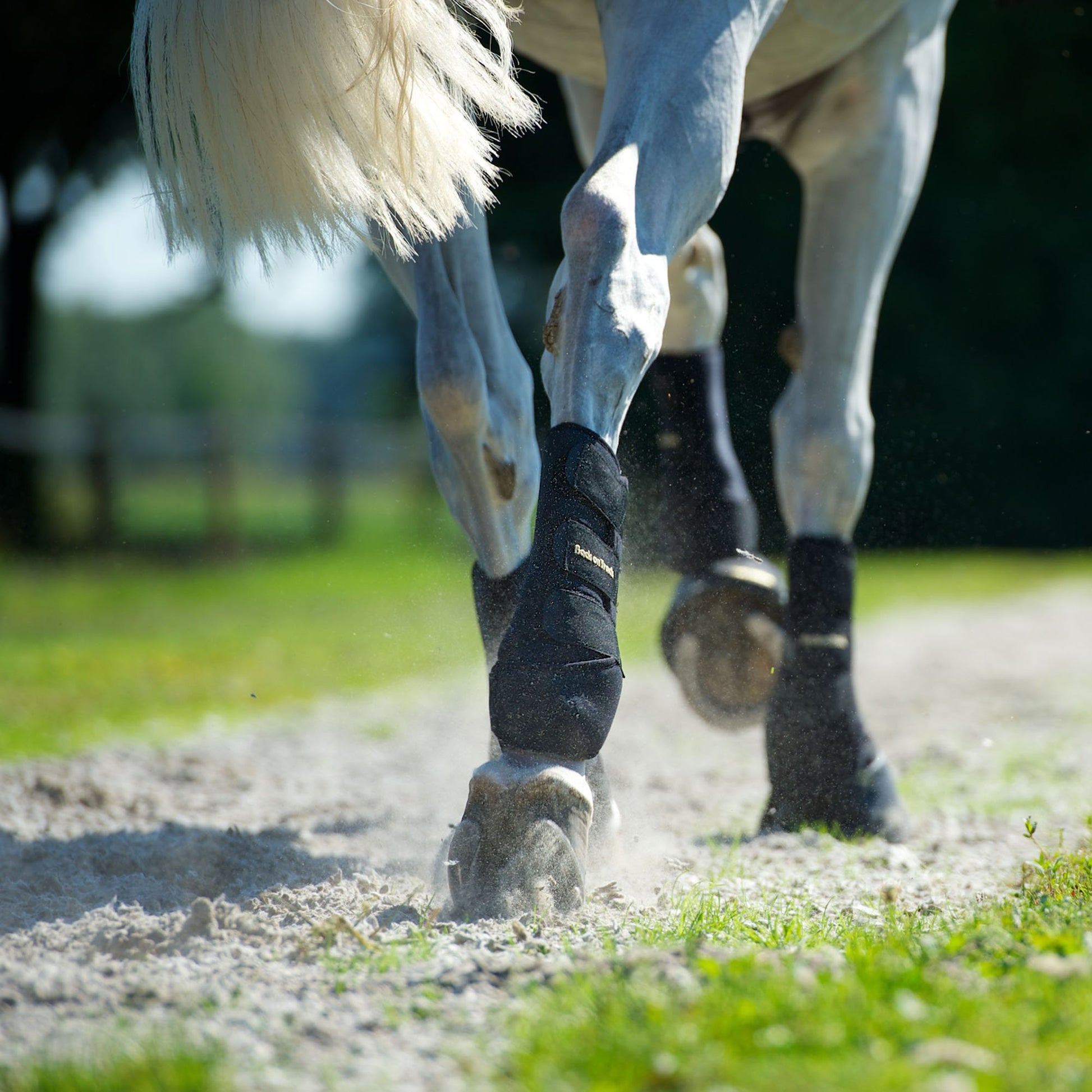 Arbetsdamask bak, par - Back on Track Sverige (5300122386587)
