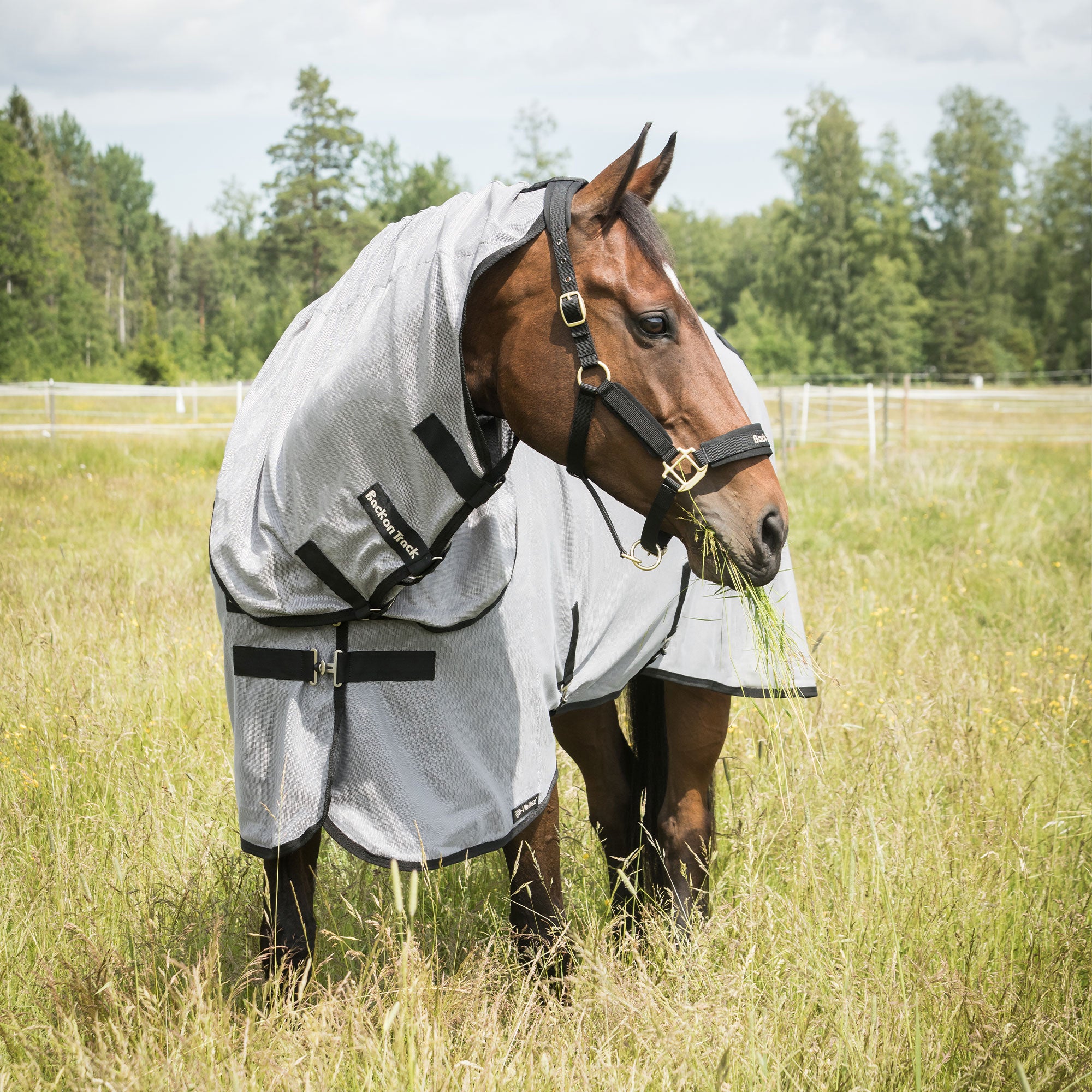 "Buzter" Fly Rug with Neck