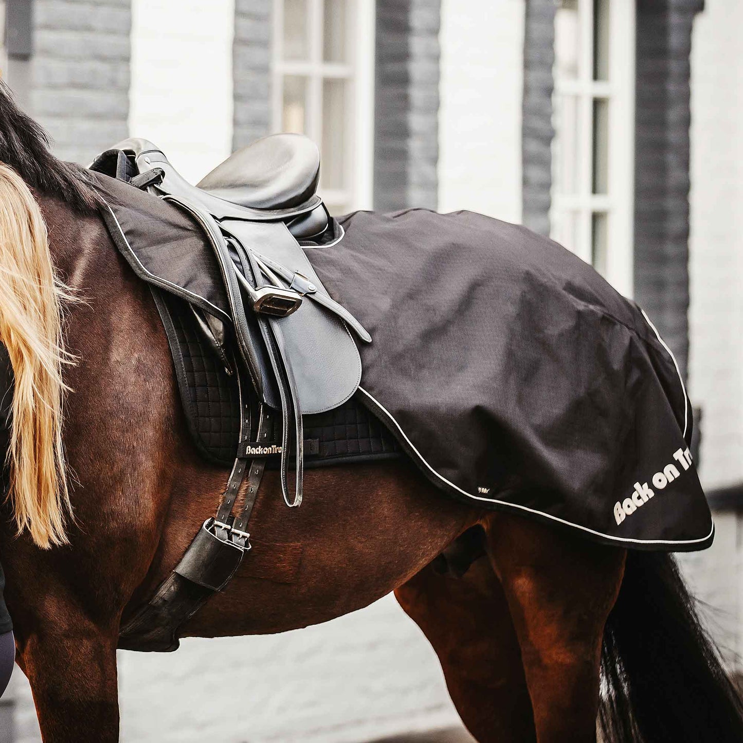 "Sammy" Exercise Rug