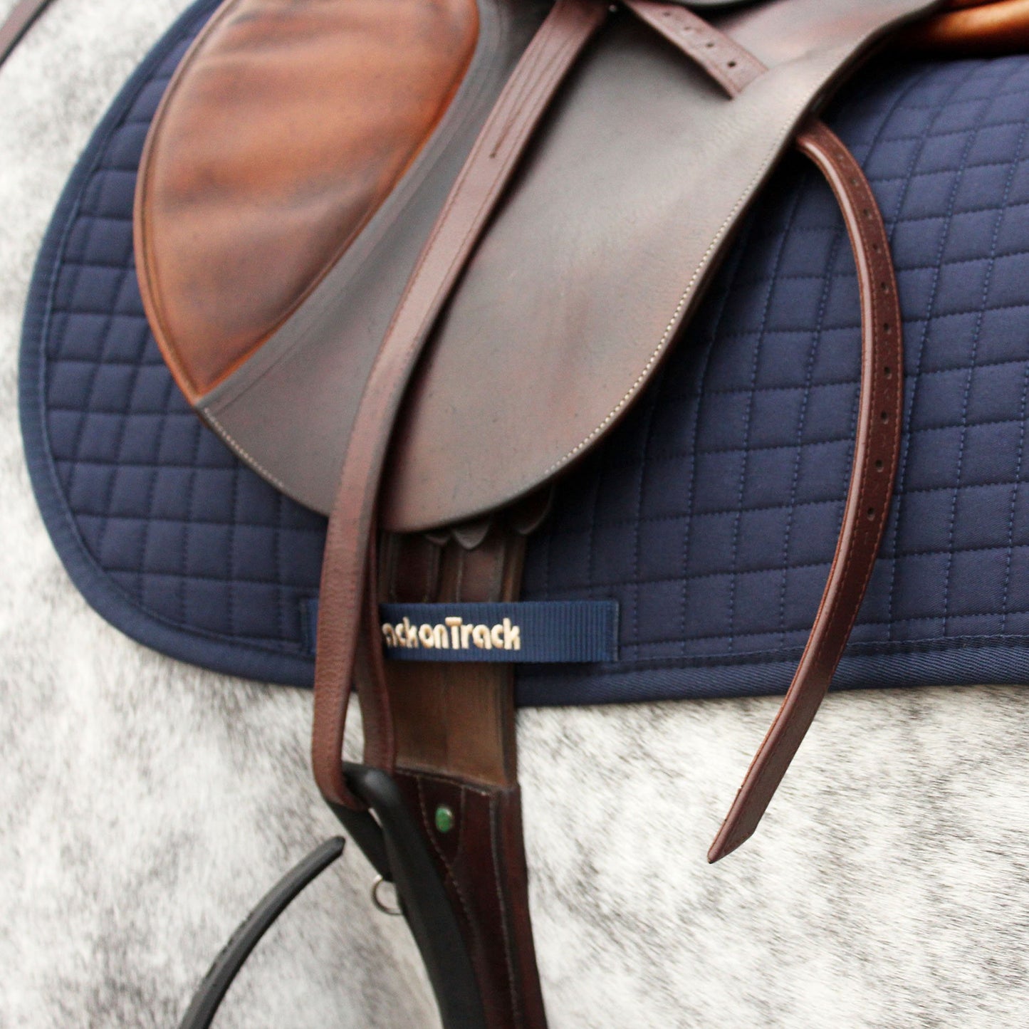 Schabrak Hopp No1 - Back on Track Sverige (5300203126939)