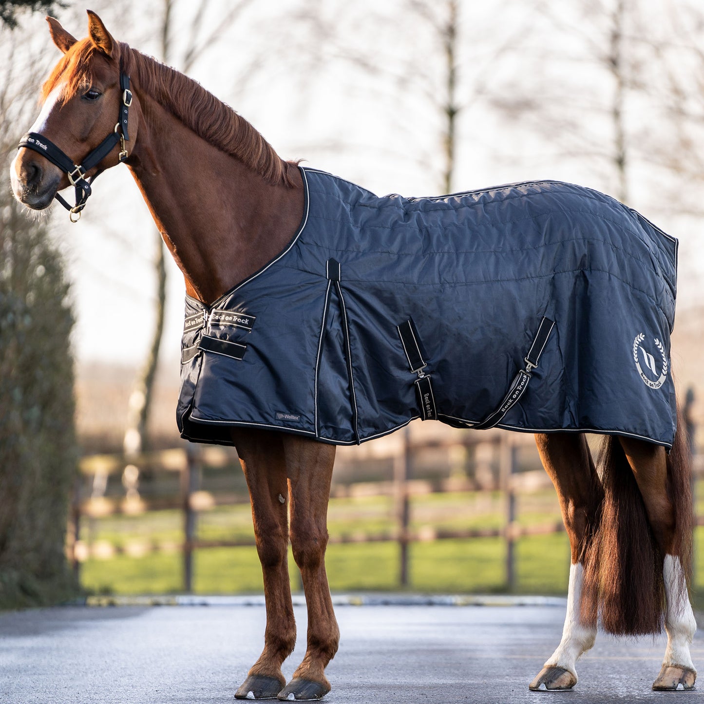 Staldeken "Millie" 100g