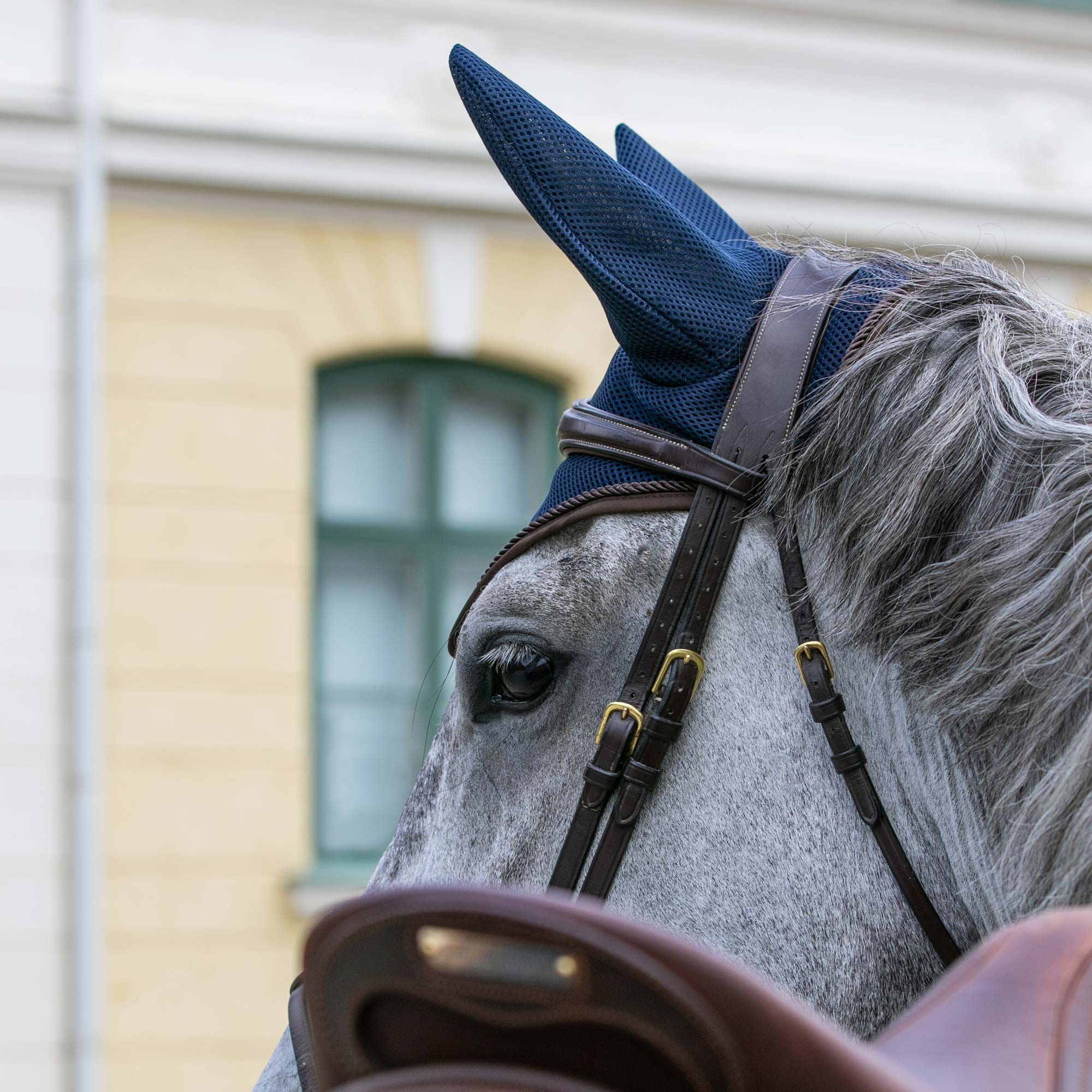 "AirFlow" Horse Bonnet - Blue