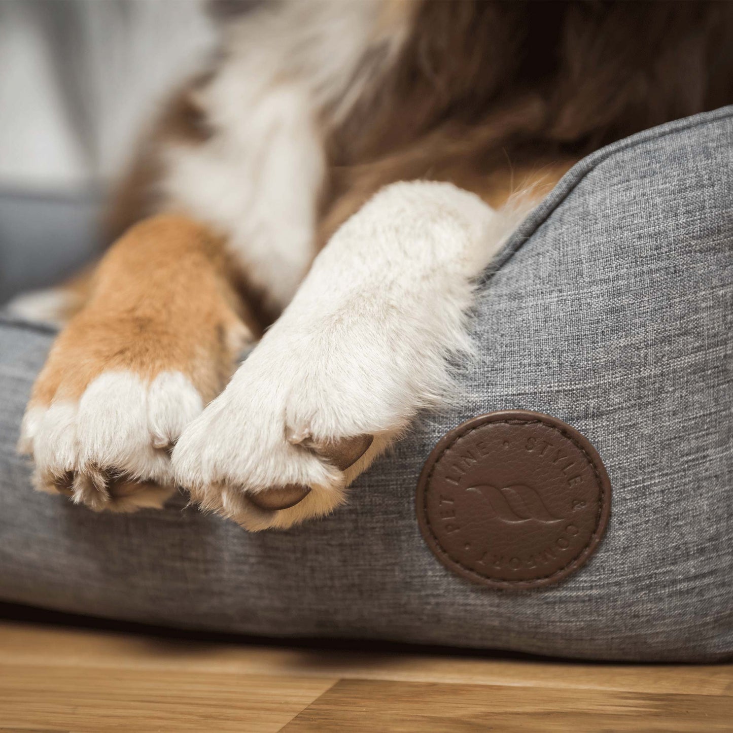 "Rocky" Dog Bed