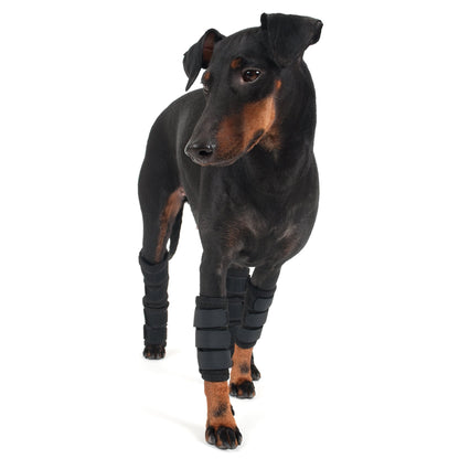 Hundbenskydd - Back on Track Sverige (5300242808987)