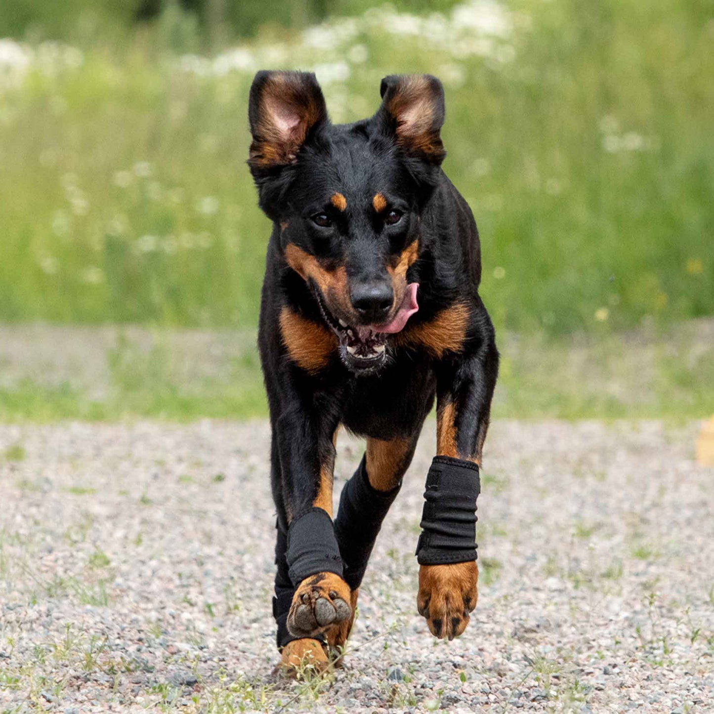 Dog Leg Brace