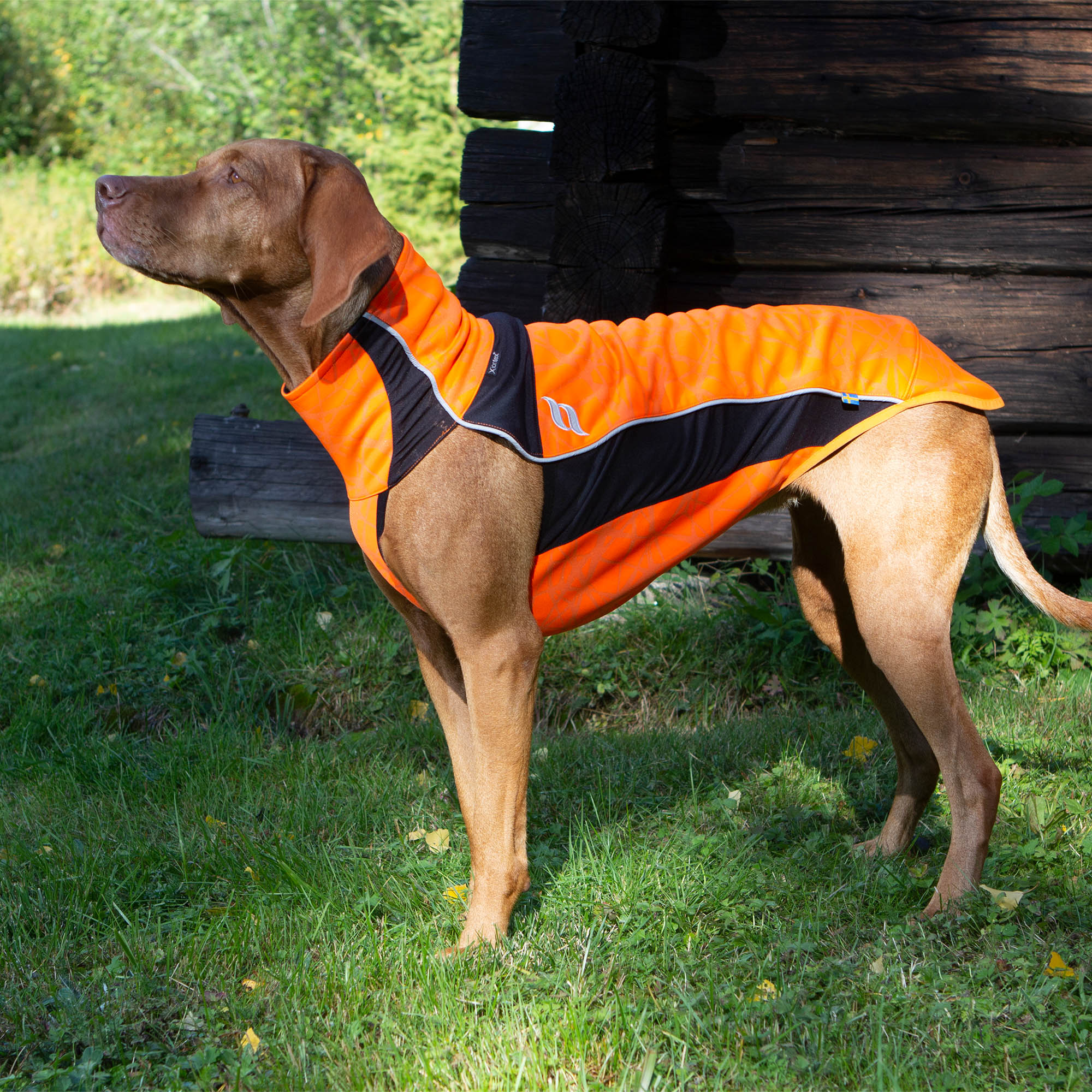 Eddie High Visibility Multi-functional Dog Coat