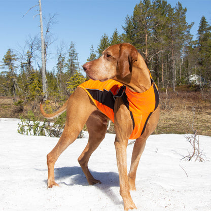 "Eddie" Dog Jumper