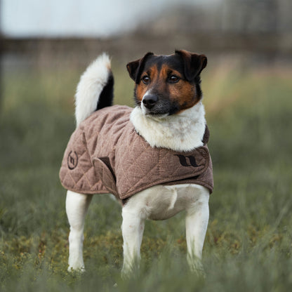 Haze Collection Dog Coat