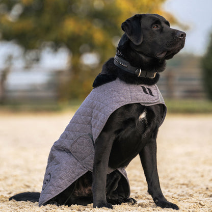 Haze Collection Dog Coat