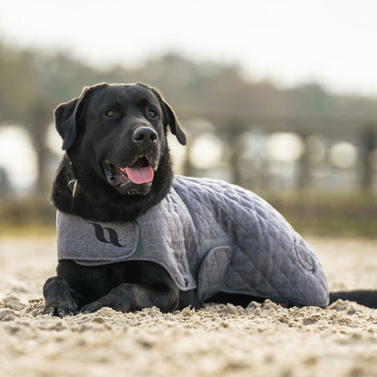 Haze Collection Dog Coat