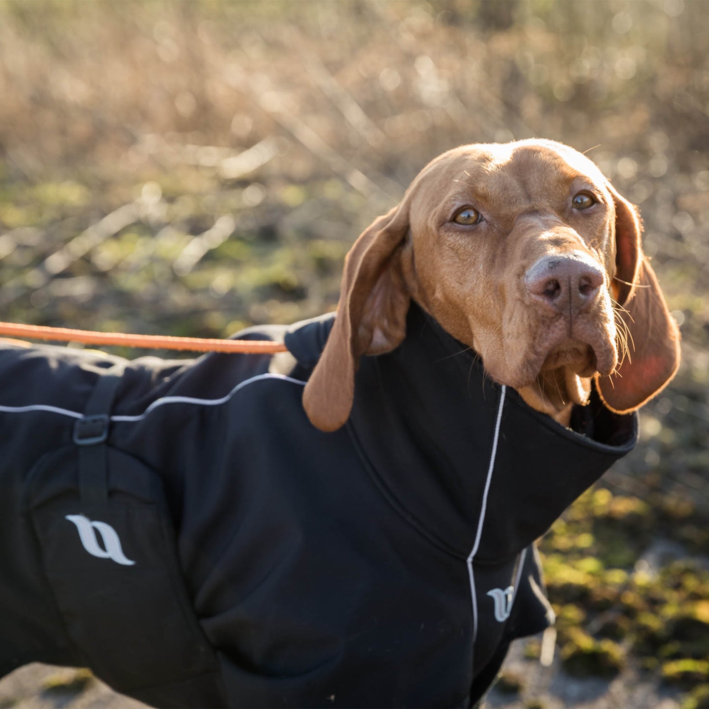 "Nella" All Weather Dog Coat