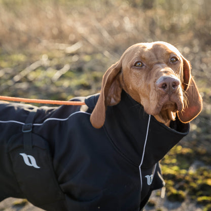 "Nella" All Weather Dog Coat