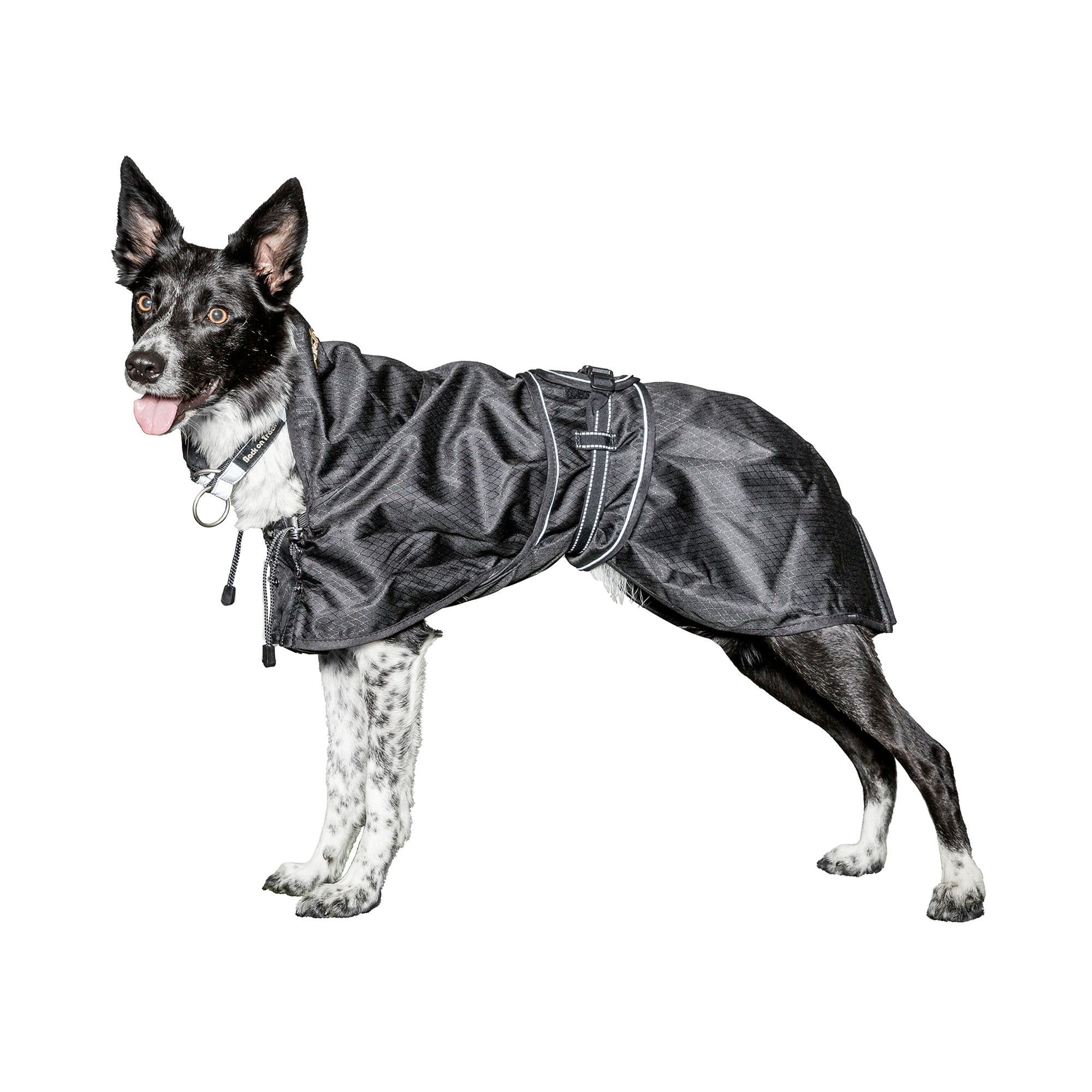 Multi Season Dog Coat (with Filling)