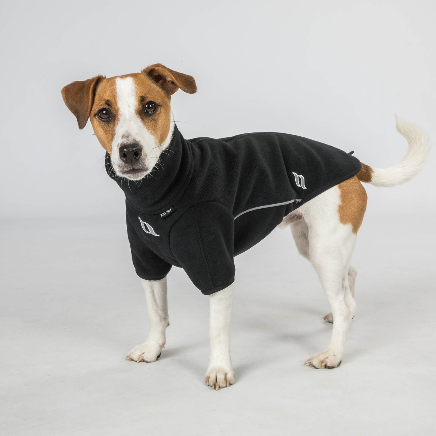 Cassie Dog Jumper
