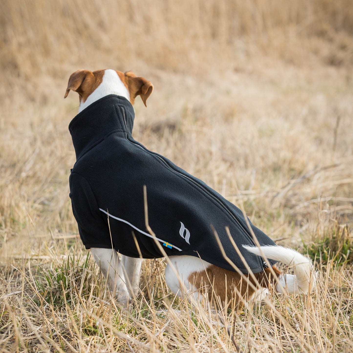 Cassie Dog Jumper