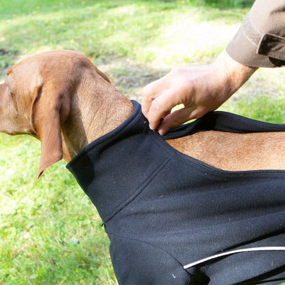 Cassie Dog Jumper
