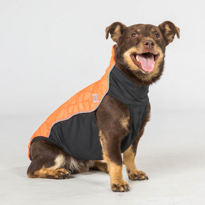 "Eddie" Petite Dog Jumper