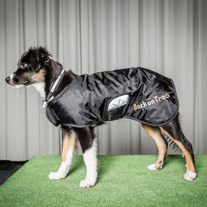 Hundhalsband Molly - Back on Track Sverige (5300242448539)